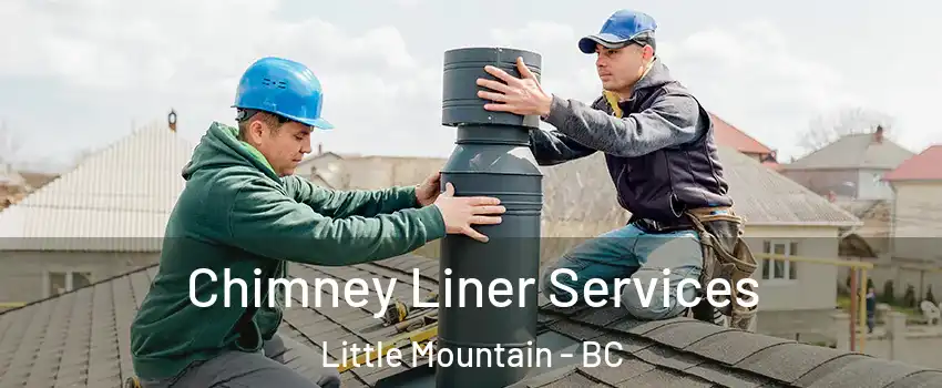 Chimney Liner Services Little Mountain - BC