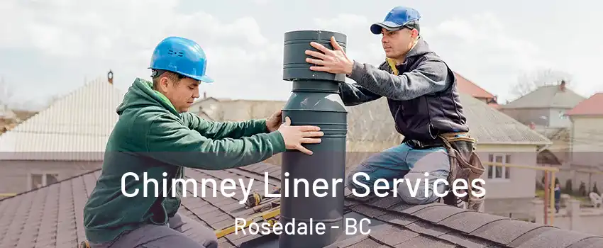 Chimney Liner Services Rosedale - BC