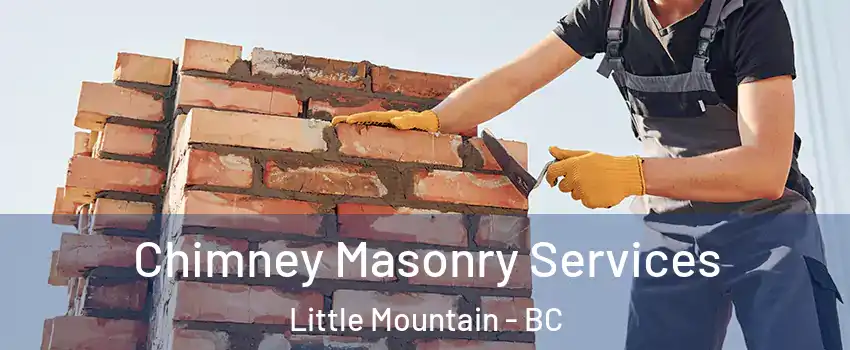 Chimney Masonry Services Little Mountain - BC