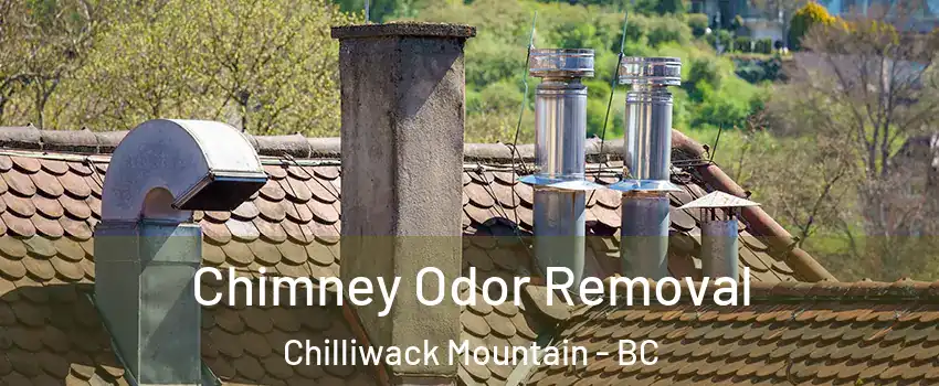 Chimney Odor Removal Chilliwack Mountain - BC