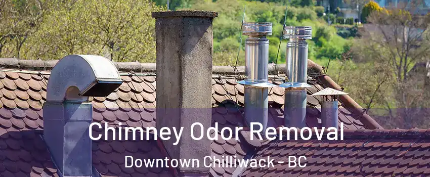 Chimney Odor Removal Downtown Chilliwack - BC