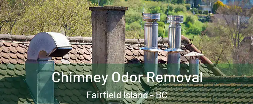  Chimney Odor Removal Fairfield Island - BC