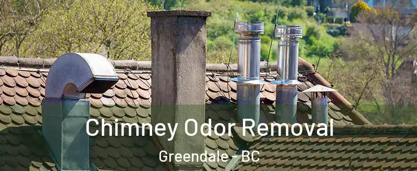 Chimney Odor Removal Greendale - BC