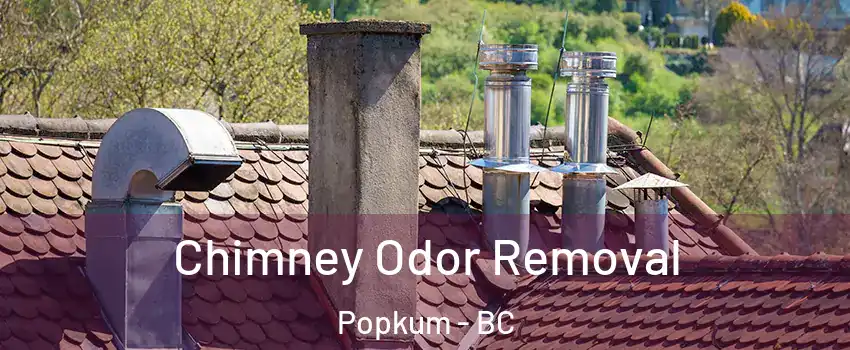 Chimney Odor Removal Popkum - BC