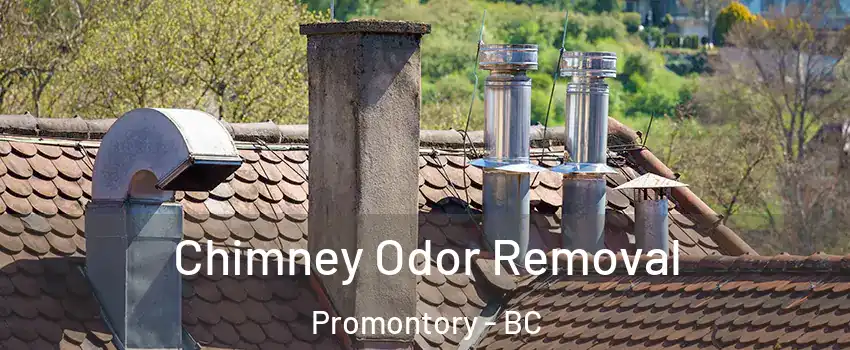 Chimney Odor Removal Promontory - BC