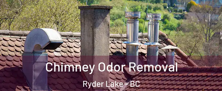 Chimney Odor Removal Ryder Lake - BC