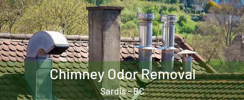  Chimney Odor Removal Sardis - BC