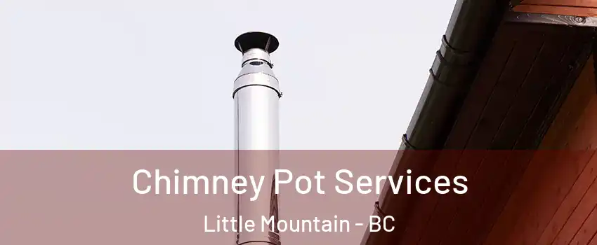 Chimney Pot Services Little Mountain - BC