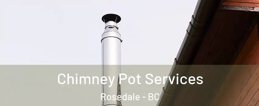  Chimney Pot Services Rosedale - BC
