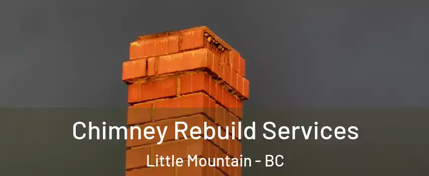 Chimney Rebuild Services Little Mountain - BC