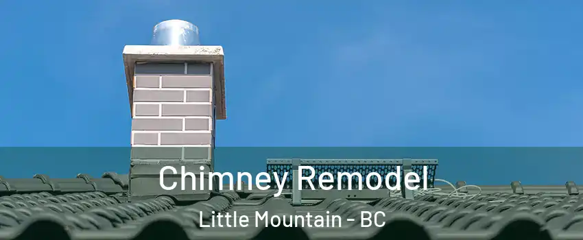  Chimney Remodel Little Mountain - BC