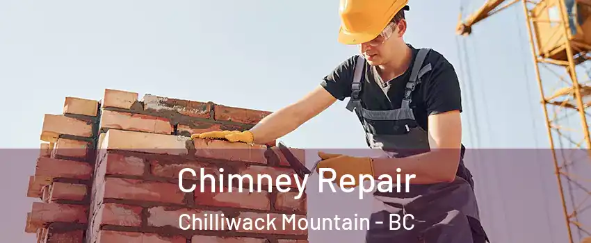 Chimney Repair Chilliwack Mountain - BC