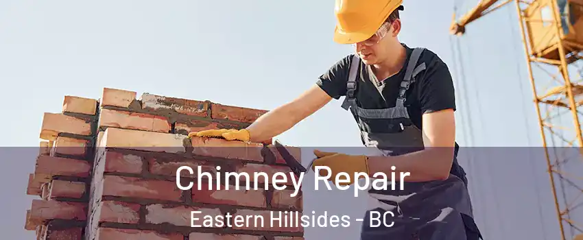  Chimney Repair Eastern Hillsides - BC