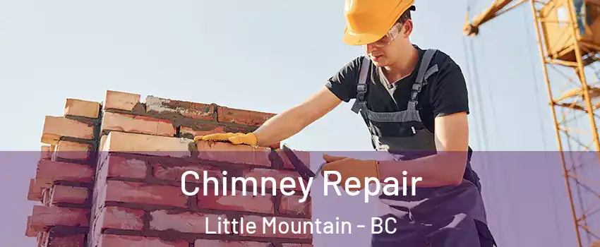 Chimney Repair Little Mountain - BC