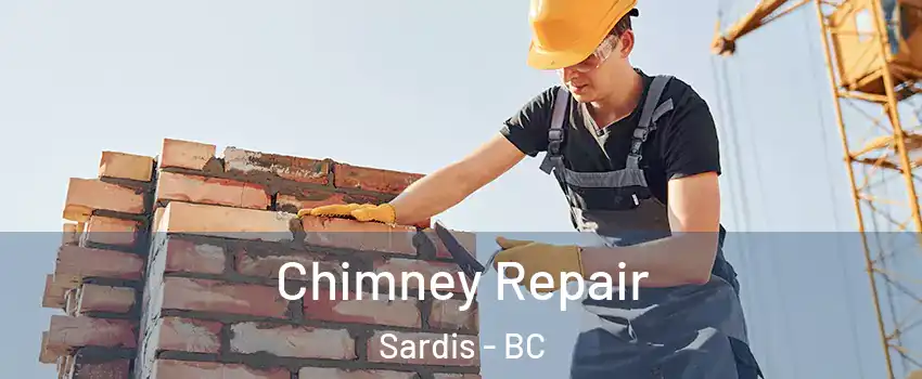 Chimney Repair Sardis - BC