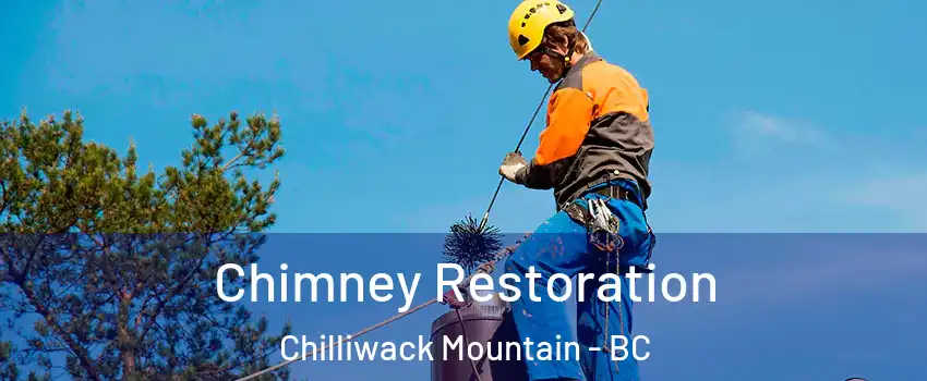 Chimney Restoration Chilliwack Mountain - BC