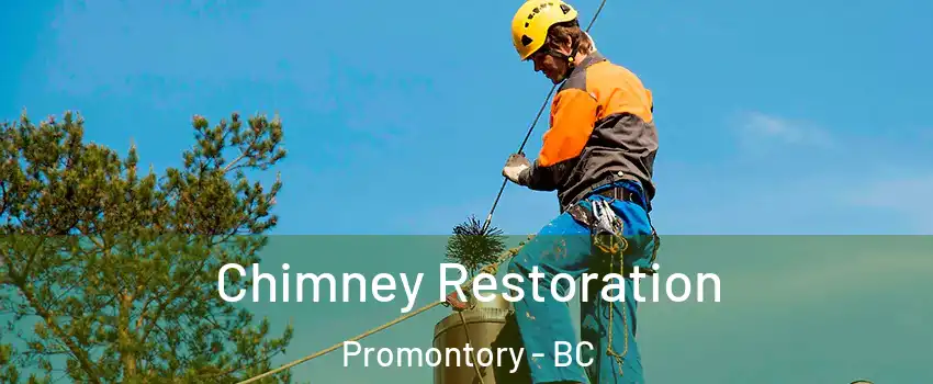 Chimney Restoration Promontory - BC