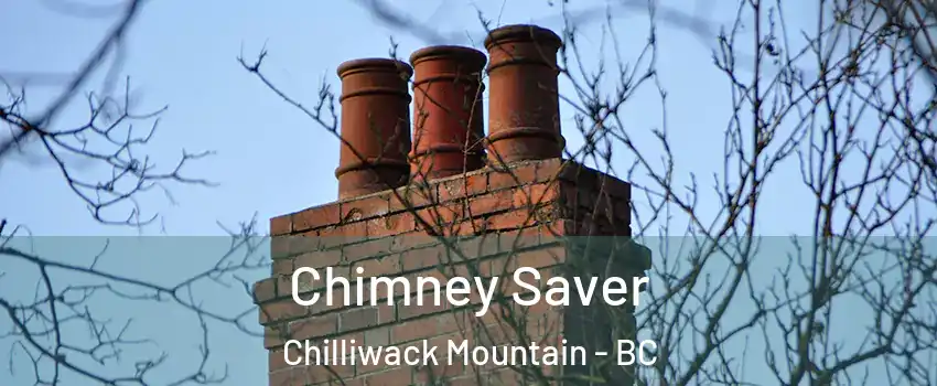  Chimney Saver Chilliwack Mountain - BC