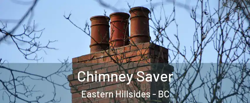 Chimney Saver Eastern Hillsides - BC