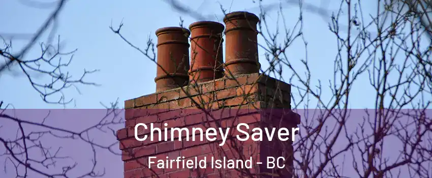Chimney Saver Fairfield Island - BC