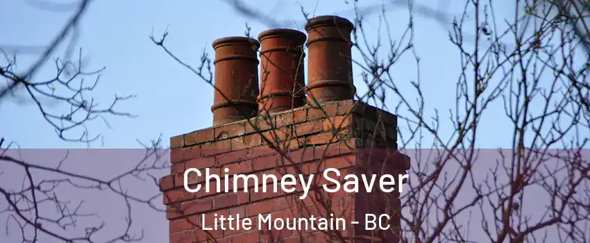 Chimney Saver Little Mountain - BC