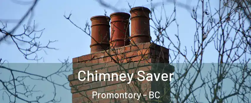 Chimney Saver Promontory - BC