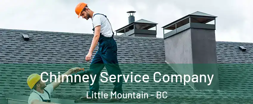 Chimney Service Company Little Mountain - BC
