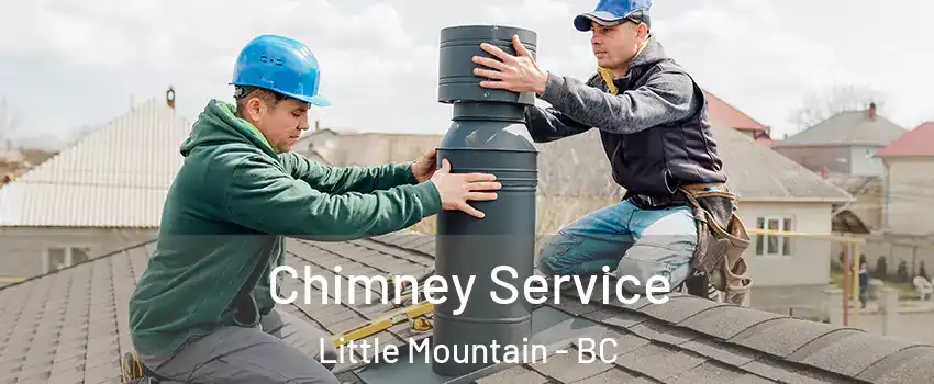 Chimney Service Little Mountain - BC
