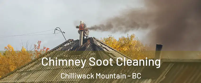 Chimney Soot Cleaning Chilliwack Mountain - BC