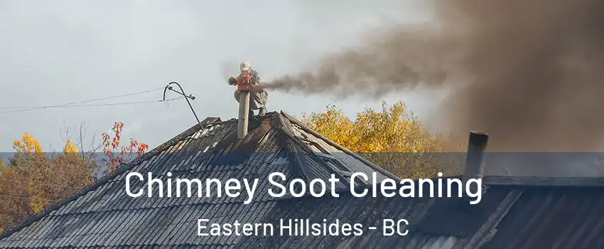 Chimney Soot Cleaning Eastern Hillsides - BC