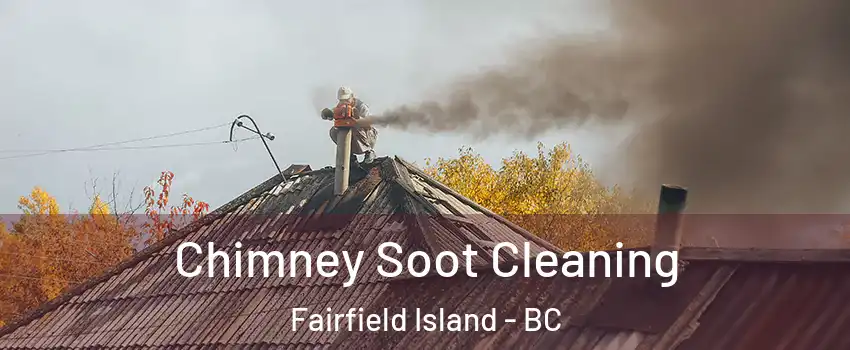 Chimney Soot Cleaning Fairfield Island - BC