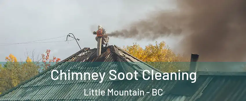 Chimney Soot Cleaning Little Mountain - BC