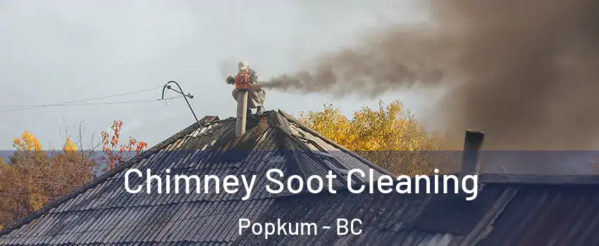 Chimney Soot Cleaning Popkum - BC