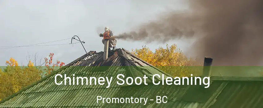  Chimney Soot Cleaning Promontory - BC