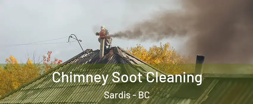 Chimney Soot Cleaning Sardis - BC