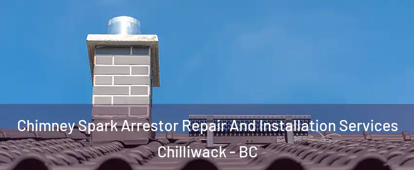  Chimney Spark Arrestor Repair And Installation Services Chilliwack - BC