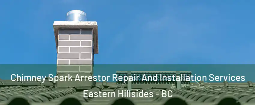 Chimney Spark Arrestor Repair And Installation Services Eastern Hillsides - BC