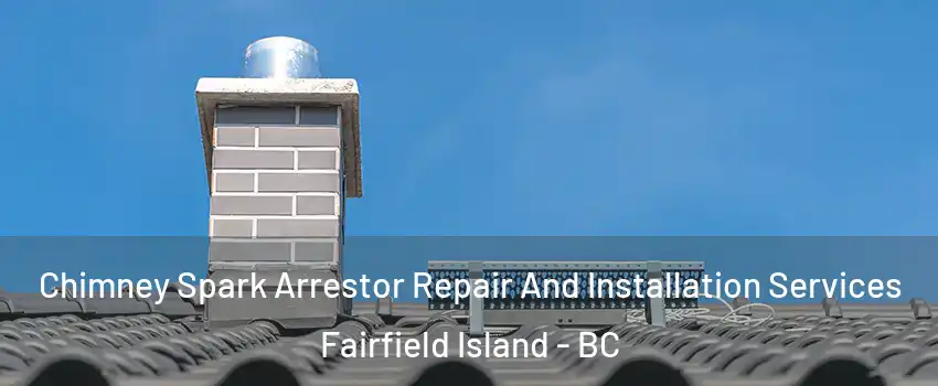 Chimney Spark Arrestor Repair And Installation Services Fairfield Island - BC