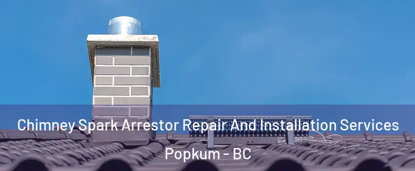 Chimney Spark Arrestor Repair And Installation Services Popkum - BC
