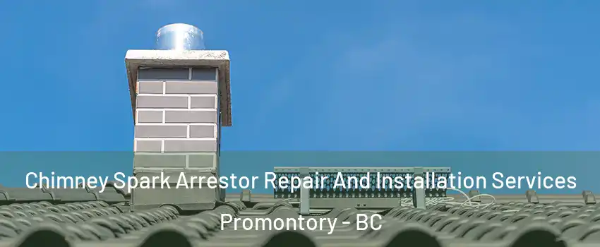 Chimney Spark Arrestor Repair And Installation Services Promontory - BC