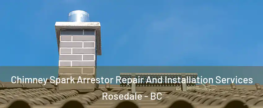  Chimney Spark Arrestor Repair And Installation Services Rosedale - BC