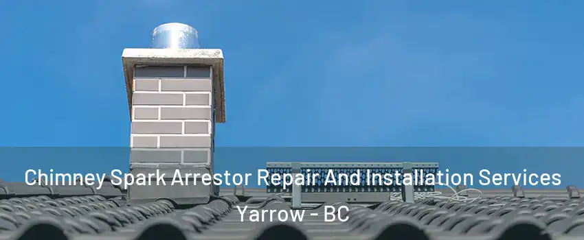 Chimney Spark Arrestor Repair And Installation Services Yarrow - BC