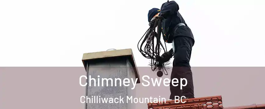Chimney Sweep Chilliwack Mountain - BC