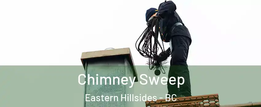 Chimney Sweep Eastern Hillsides - BC
