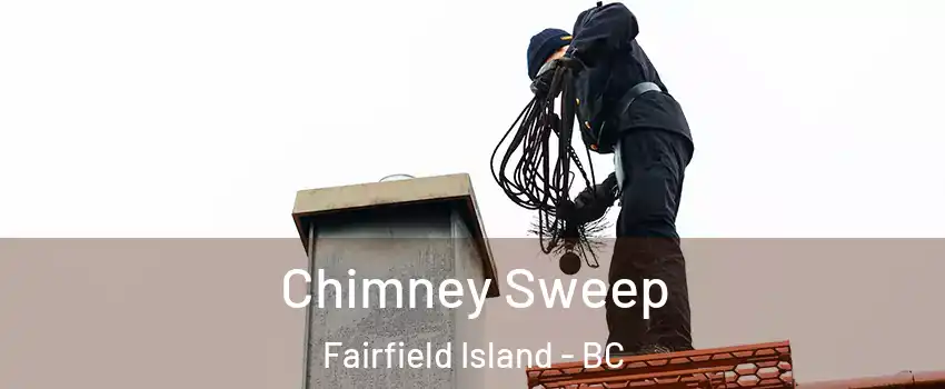 Chimney Sweep Fairfield Island - BC