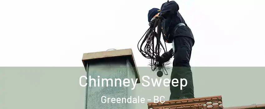 Chimney Sweep Greendale - BC