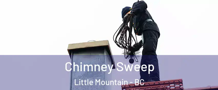 Chimney Sweep Little Mountain - BC
