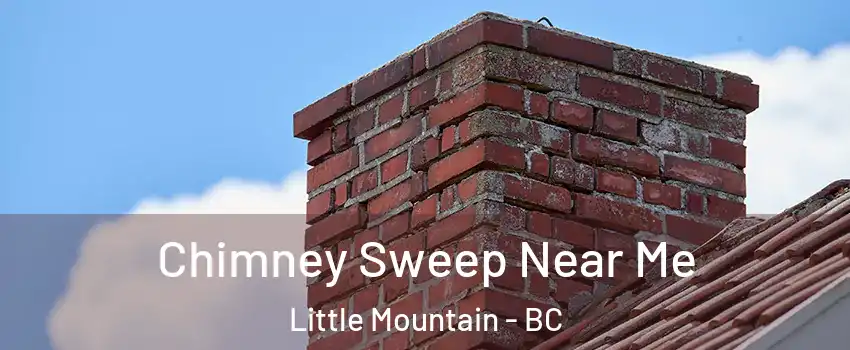 Chimney Sweep Near Me Little Mountain - BC