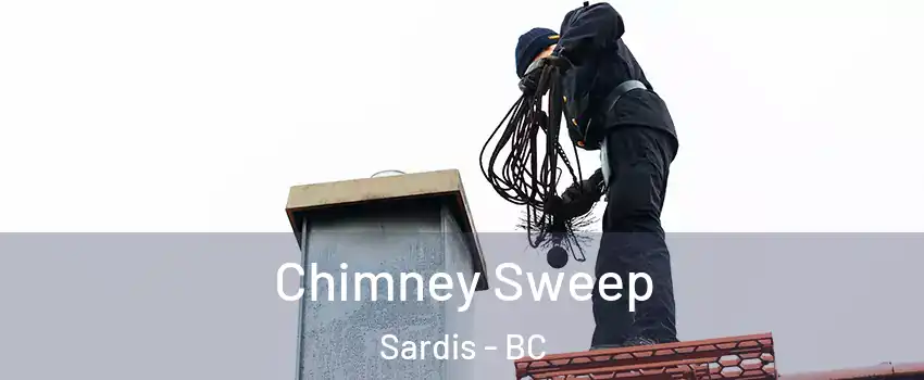 Chimney Sweep Sardis - BC