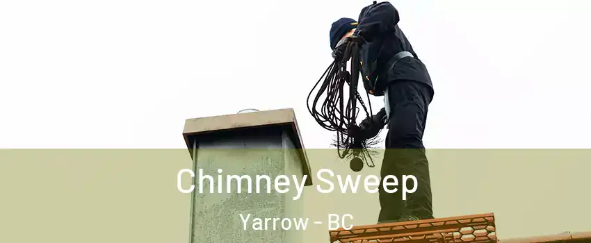 Chimney Sweep Yarrow - BC